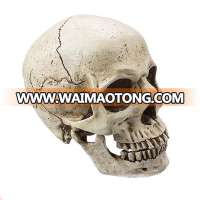 Custom high quality hand carved polyresin skull for sale